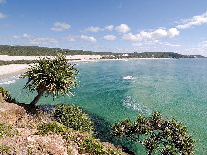 Best 10 Things You Can’t Miss In Queensland