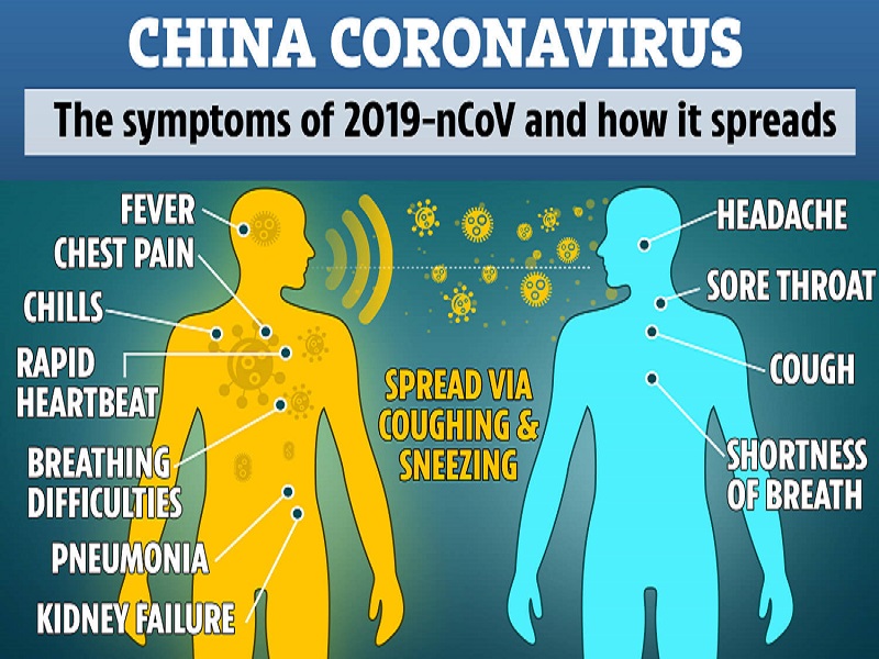 Coronavirus or Global warming. Which one is more potent?