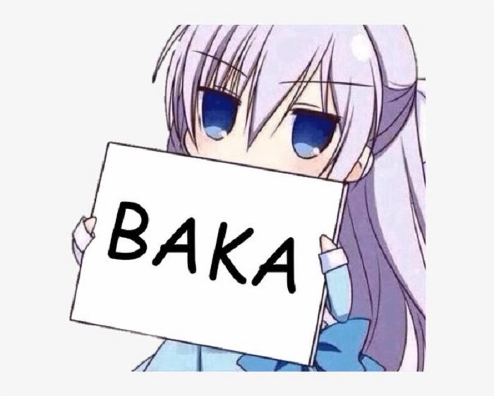 The Meaning Behind The Word “Baka” And How To Use it in Your Everyday